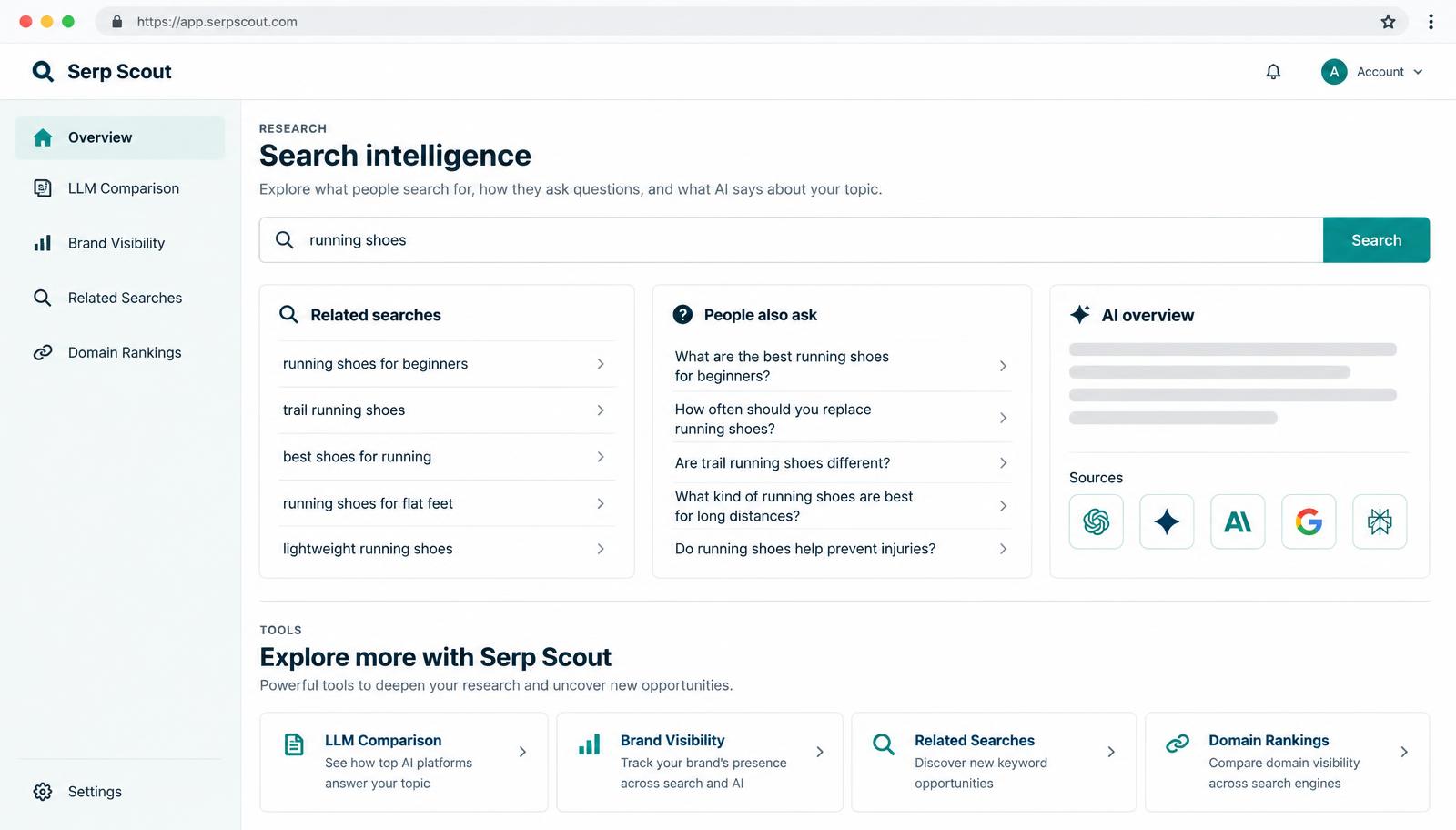 Illustrative view of the Serp Scout workspace